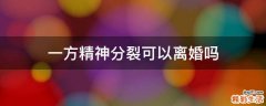 一方精神分裂可以离婚吗