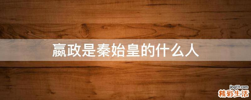 嬴政是秦始皇的什么人