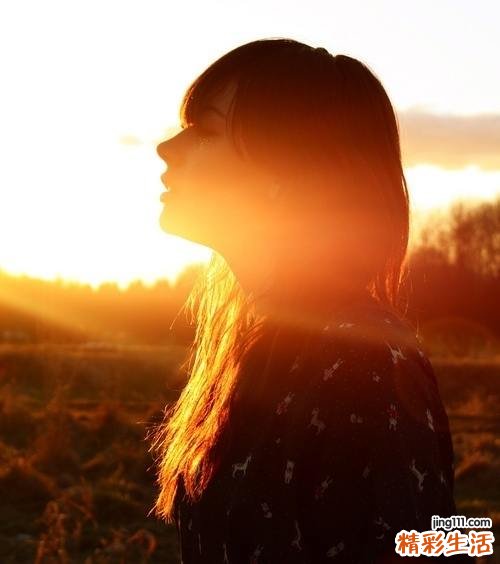 血红素结合蛋白