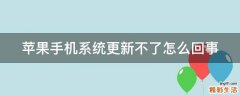 苹果手机系统更新不了怎么回事