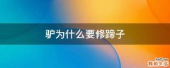 驴为什么要修蹄子