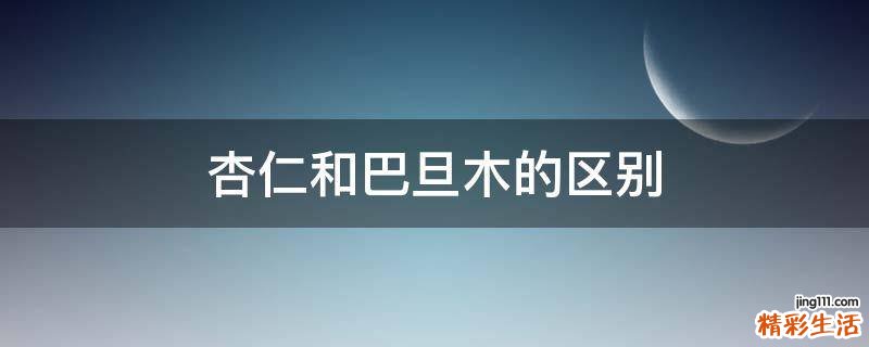 杏仁和巴旦木的区别