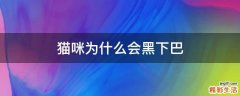 猫咪为什么会黑下巴
