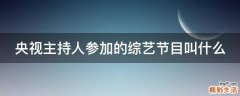 央视主持人参加的综艺节目叫什么