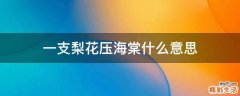 一支梨花压海棠什么意思
