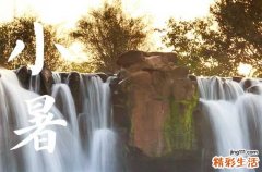 134句 适合小暑节气的文案