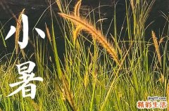 95句 最新小暑朋友圈经典文案