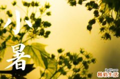 2023小暑节气祝福语暖心