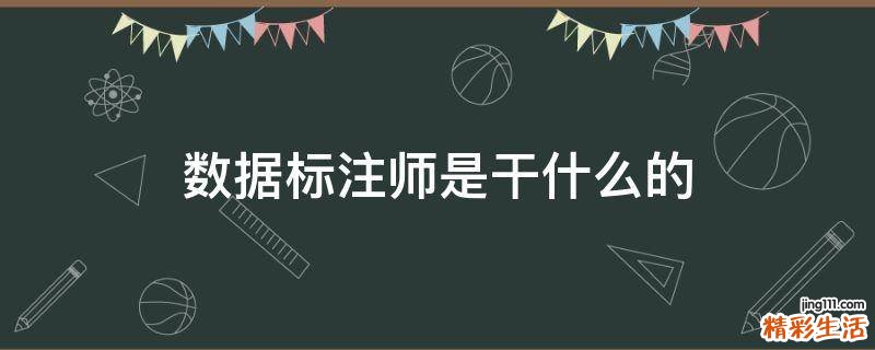 数据标注师是干什么的