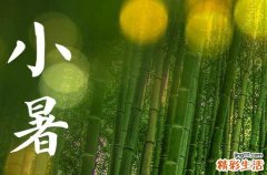 小暑节气唯美句子60句