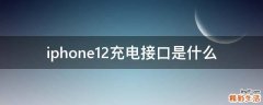 iphone12充电接口是什么