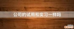 公司的试用和实习一样吗
