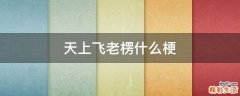 天上飞老楞什么梗