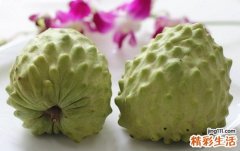 番荔枝的功效与作用