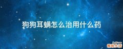 狗狗耳螨怎么治用什么药