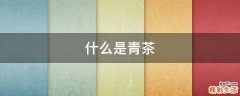 什么是青茶