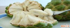水果释迦的功效与作用 水果释迦是寒性还是热性