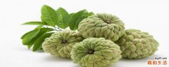 释迦果保存的方法 释迦果保质期多长时间