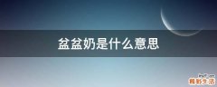 盆盆奶是什么意思