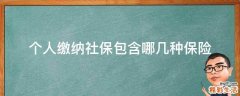 个人缴纳社保包含哪几种保险