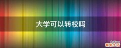 大学可以转校吗