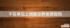 不在单位上班能交养老保险吗
