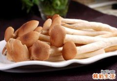 吃茶树菇怎么会过敏