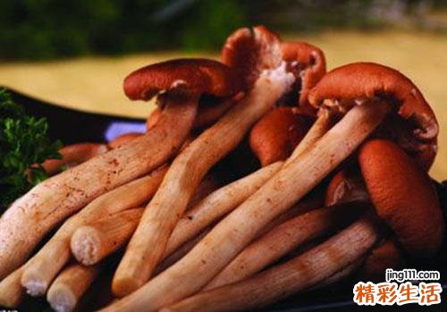 茶树菇放久了能吃吗