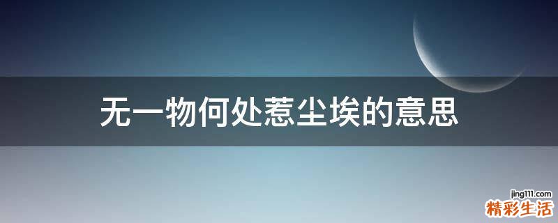 无一物何处惹尘埃的意思