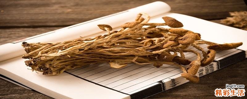 茶树菇坏了有什么特征 茶树菇的挑选方法