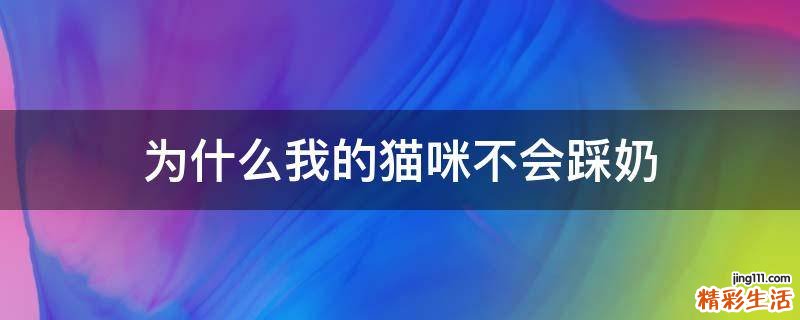 为什么我的猫咪不会踩奶