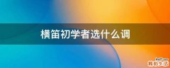 横笛初学者选什么调