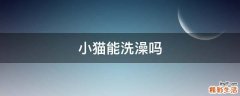 小猫能洗澡吗