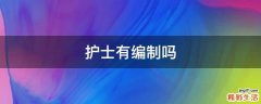 护士有编制吗