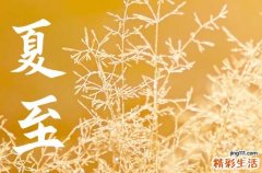 今天几点夏至 2023几点夏至