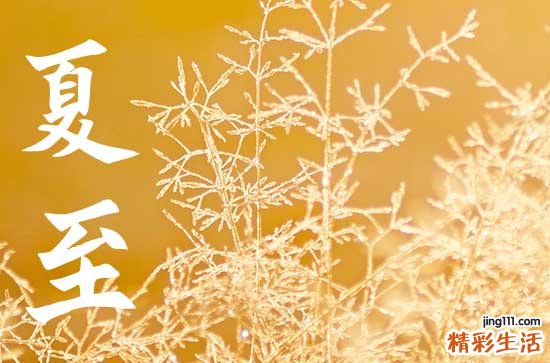 今天几点夏至 2023几点夏至