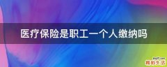 医疗保险是职工一个人缴纳吗