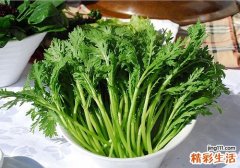 茼蒿的营养价值及食用方法
