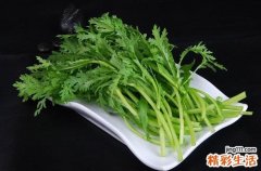茼蒿怎么吃好吃
