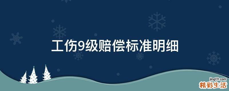 工伤9级赔偿标准明细