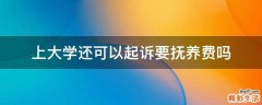 上大学还可以起诉要抚养费吗