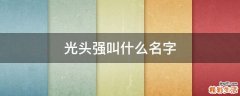 光头强叫什么名字