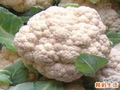 花菜的营养价值