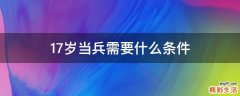 17岁当兵需要什么条件