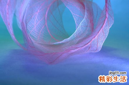 2 小儿常见病痛中医对策
