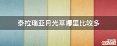 泰拉瑞亚月光草哪里比较多