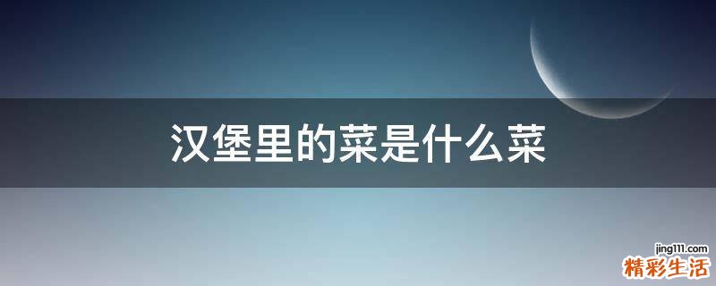 汉堡里的菜是什么菜