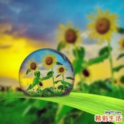 3 小儿推拿疗法