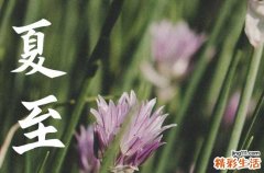 夏至当天下雨有什么说法