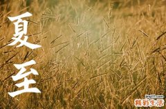夏至是2023几点几秒到来 今年夏至具体时间表